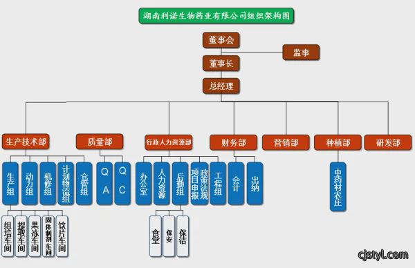 公司架构