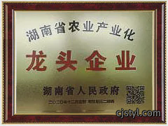 龙头企业